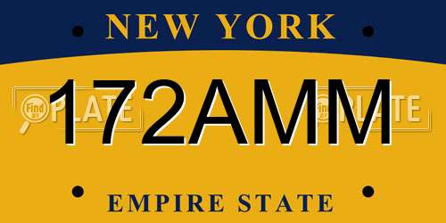 172AMM New York License Plate