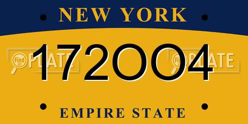172OO4 New York License Plate