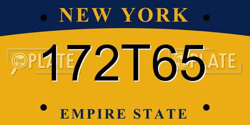172T65 New York License Plate