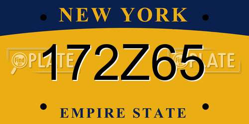 172Z65 New York License Plate