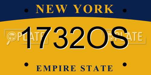1732OS New York License Plate