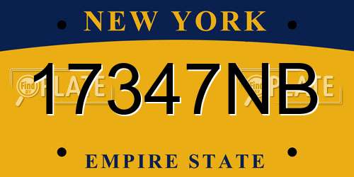 17347NB New York License Plate