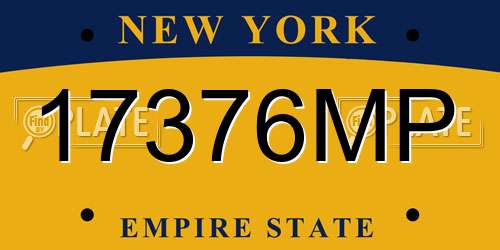 17376MP New York License Plate