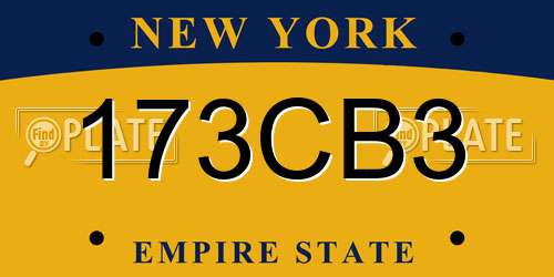 173CB3 New York License Plate