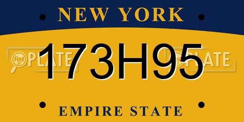 173H95 New York License Plate