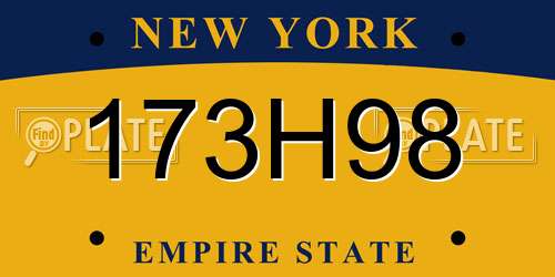 173H98 New York License Plate