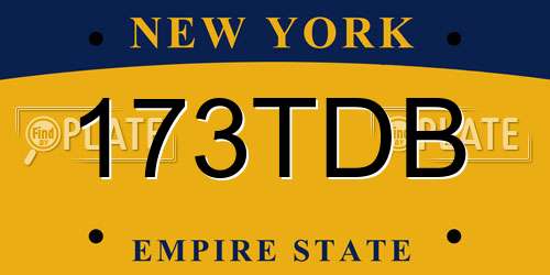 173TDB New York License Plate