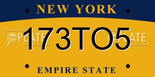 173TO5 New York License Plate
