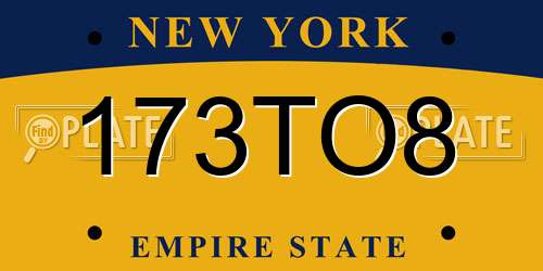 173TO8 New York License Plate