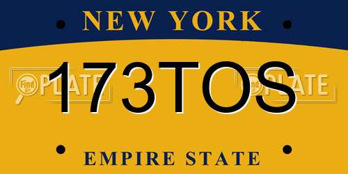 173TOS New York License Plate