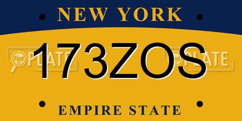 173ZOS New York License Plate