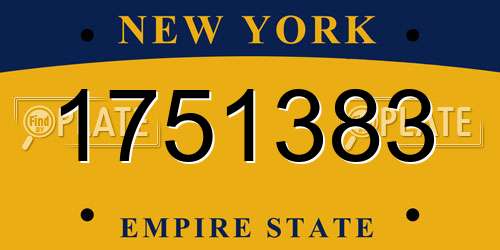 1751383 New York License Plate