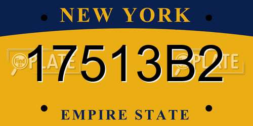 17513B2 New York License Plate