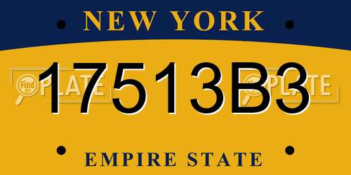 17513B3 New York License Plate