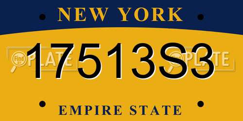 17513S3 New York License Plate
