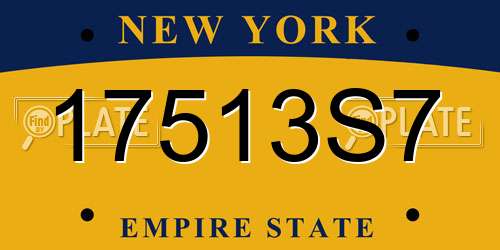 17513S7 New York License Plate