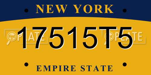 17515T5 New York License Plate