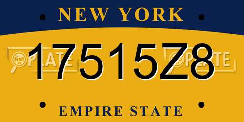 17515Z8 New York License Plate