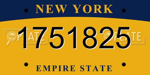 1751825 New York License Plate