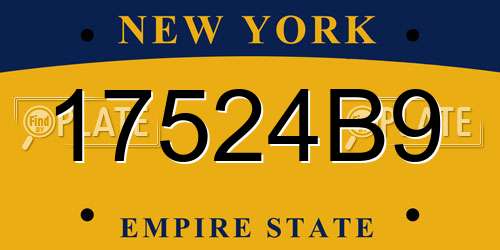 17524B9 New York License Plate