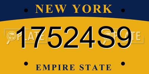 17524S9 New York License Plate