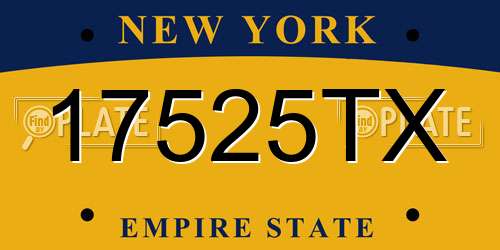 17525TX New York License Plate