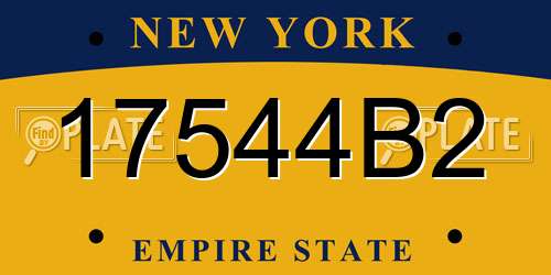 17544B2 New York License Plate