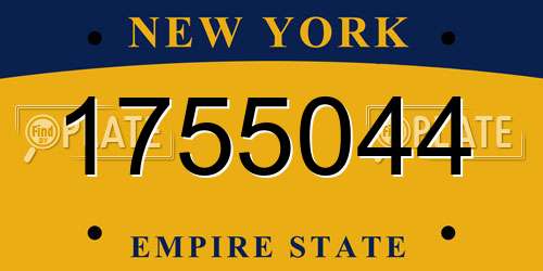 1755044 New York License Plate