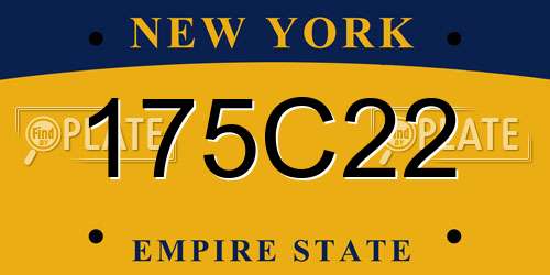 175C22 New York License Plate