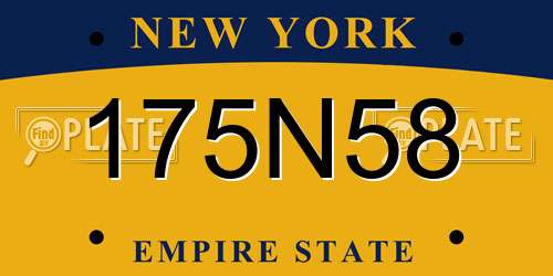 175N58 New York License Plate