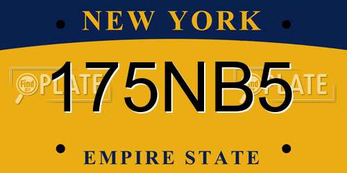 175NB5 New York License Plate