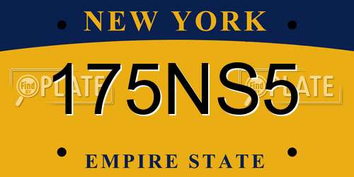 175NS5 New York License Plate