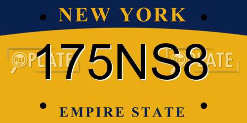 175NS8 New York License Plate