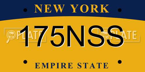 175NSS New York License Plate