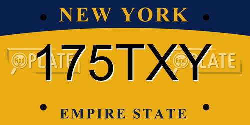 175TXY New York License Plate