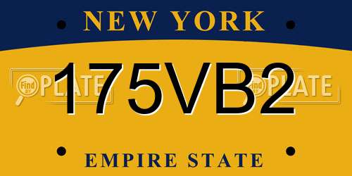 175VB2 New York License Plate