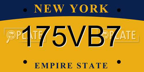 175VB7 New York License Plate
