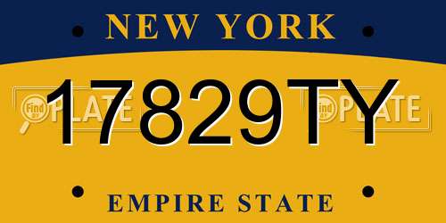 17829TY New York License Plate