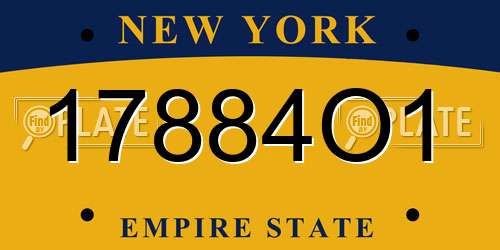 17884O1 New York License Plate