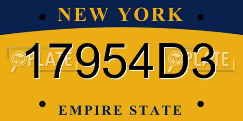17954D3 New York License Plate