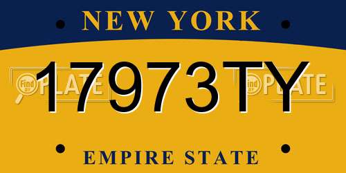 17973TY New York License Plate