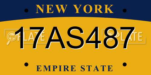 17AS487 New York License Plate