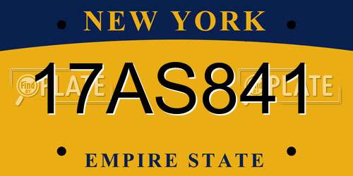 17AS841 New York License Plate