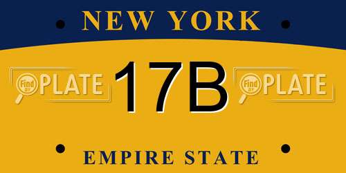 17B New York License Plate