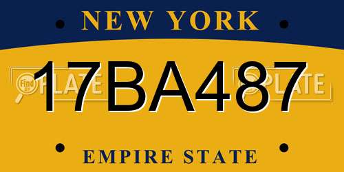 17BA487 New York License Plate