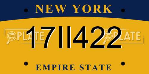 17II422 New York License Plate