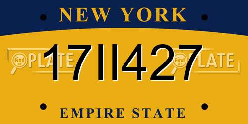 17II427 New York License Plate