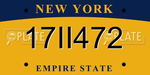 17II472 New York License Plate