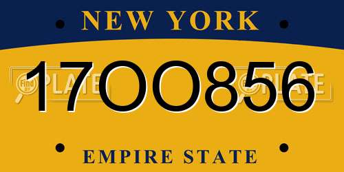 17OO856 New York License Plate