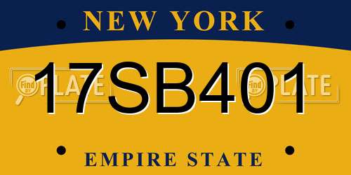 17SB401 New York License Plate
